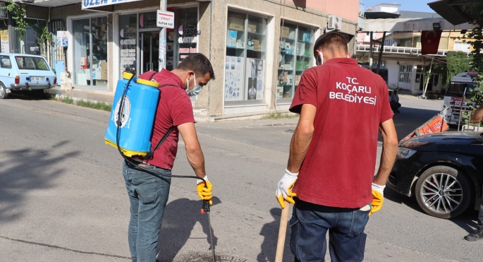 Koçarlı Belediyesi, Haşereyle mücadeleye devam ediyor