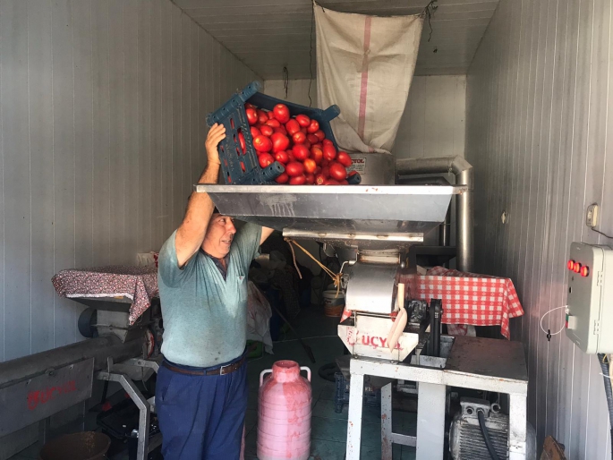 Koçarlı'da Salça Seferberliği Başladı